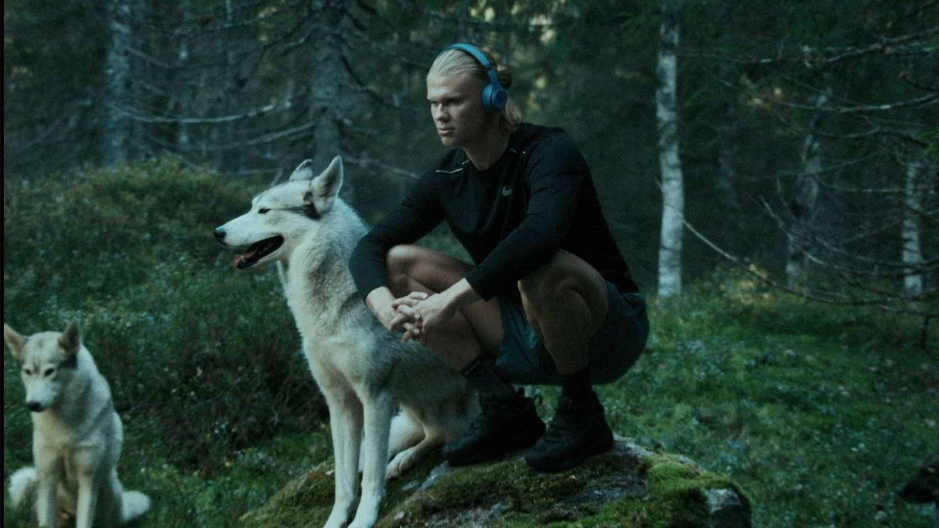 杜兰特作为 杜兰特作为